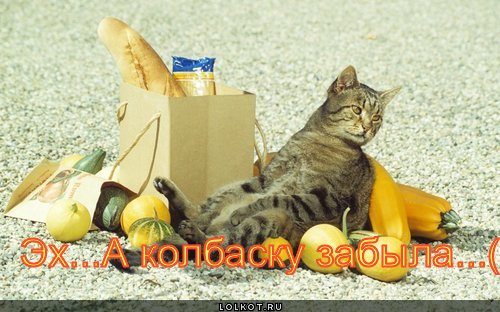 эх (