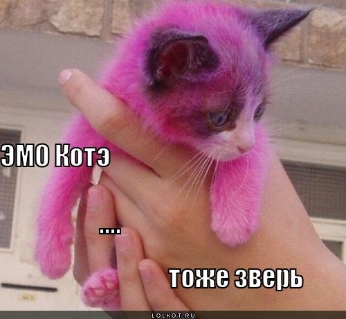 эмо котэ 
