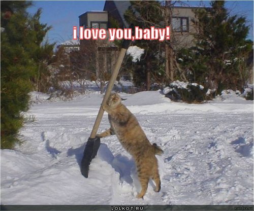 i love you, baby!