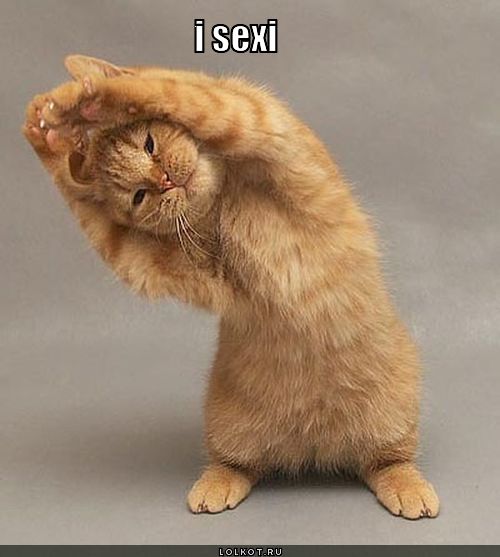 i sexi