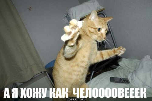 как  челоооовееек