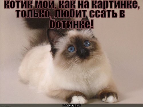 как на картинке