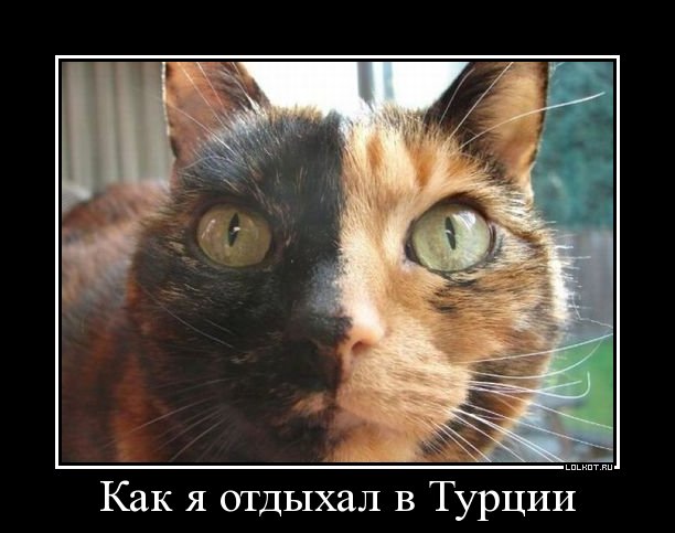 как я отдыхал в турции
