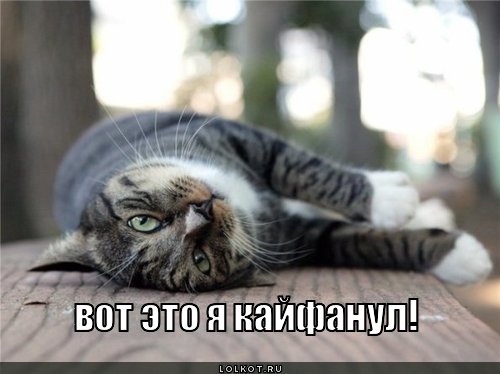 кайфанул