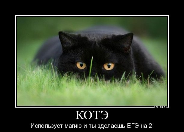 котэ использует магию и ты зделаешь егэ на 2!