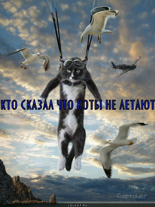 кто сказал