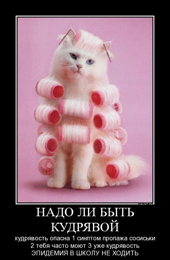 кудрявость