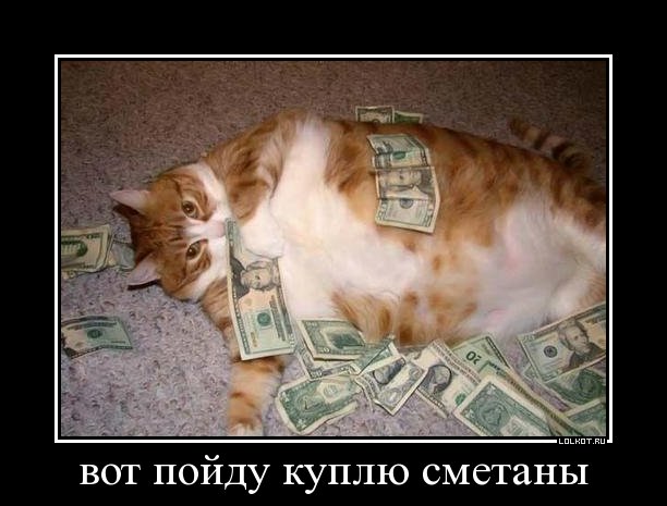 куплю сметаны