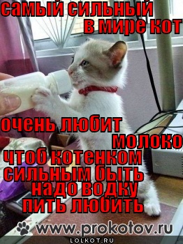 любить