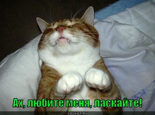 любите меня!