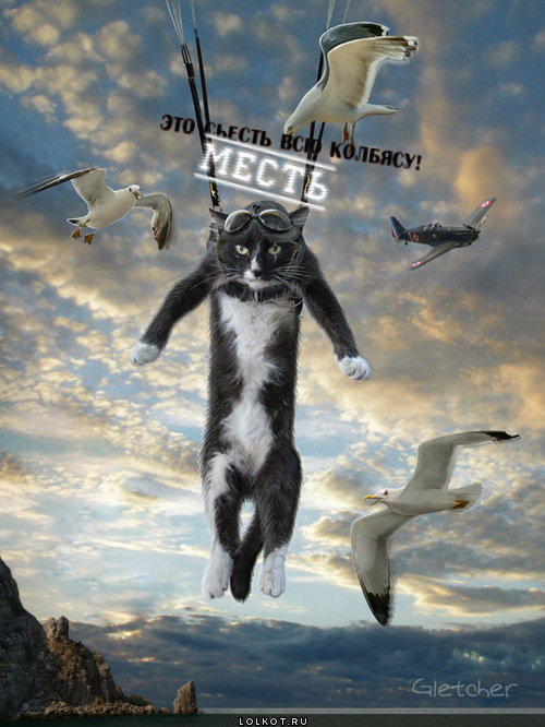 месть