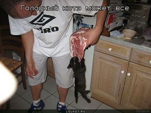 может все