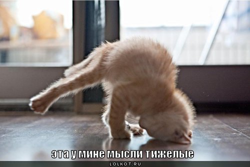 мысли тижелые