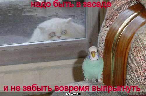 надо
