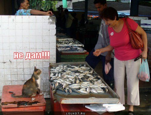 не дам!!!