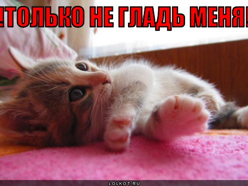 не гладь