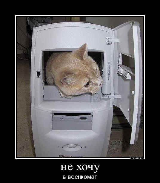 не хочу в военкомат