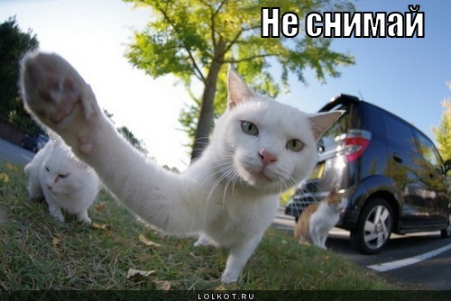 не снимай