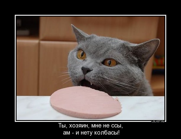 не ссы