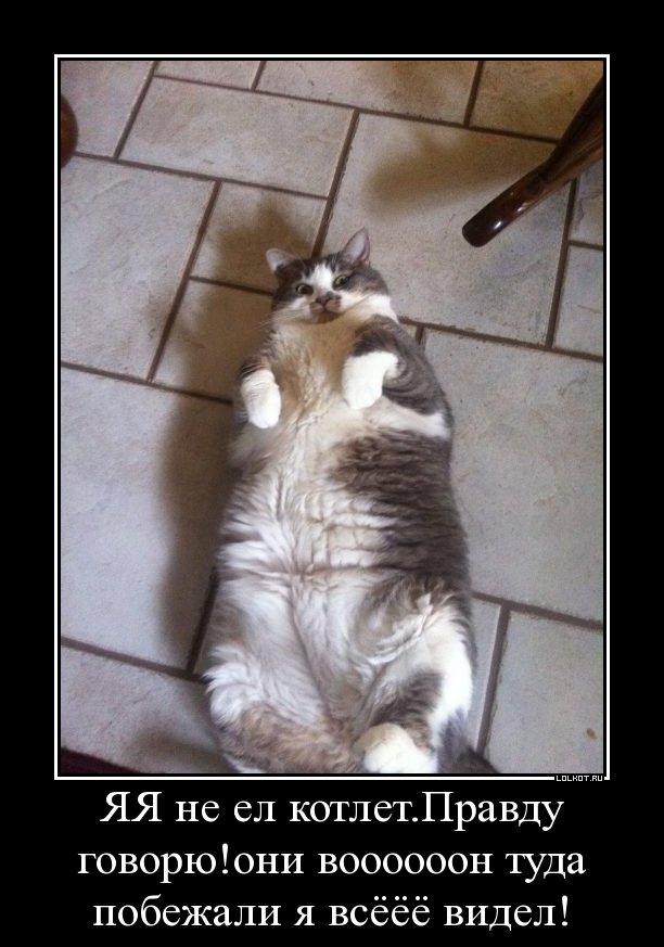 не ел