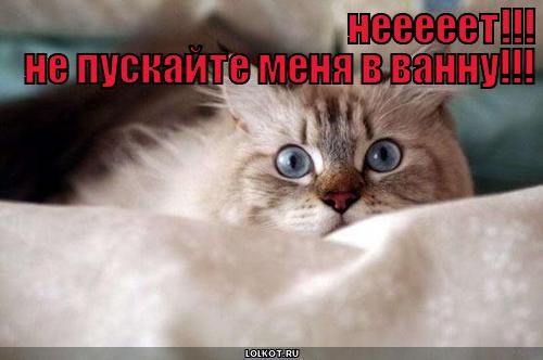 нееееет