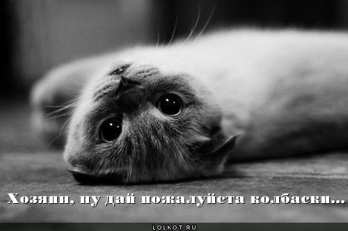 ну дай
