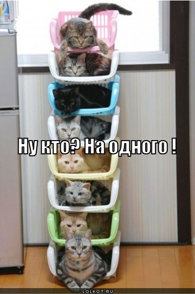 ну кто?