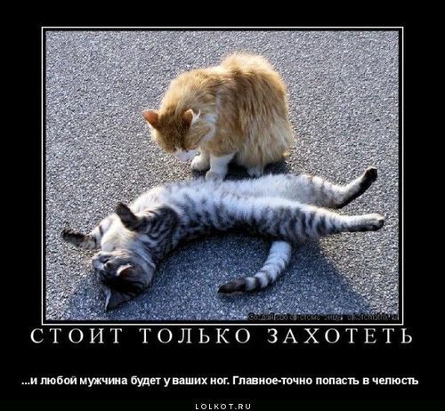 ОБЛОМ С ПРЕДУПРЕЖДЕНИЕМ