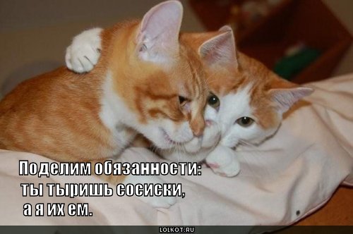 обязанности