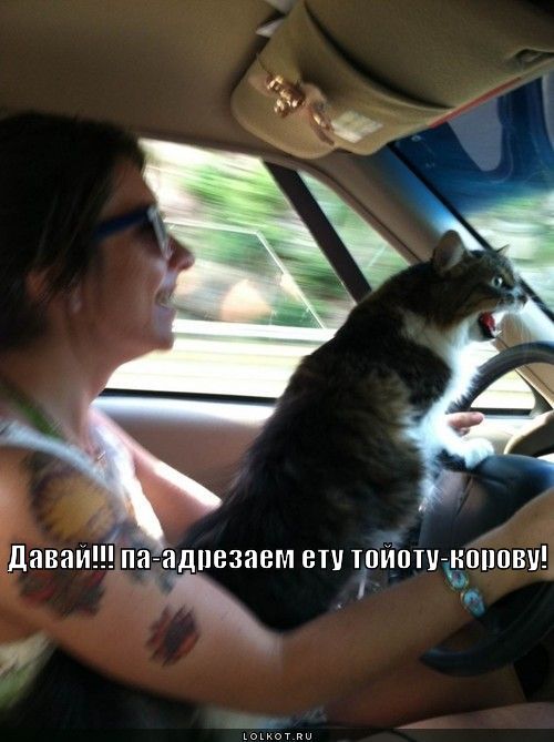 па-адрезаем