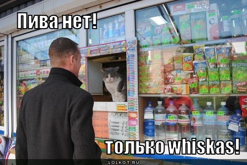 пива нет