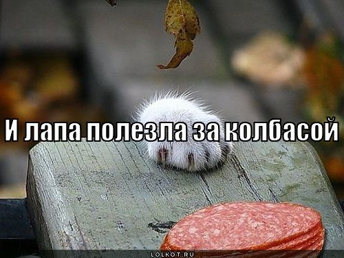полезла