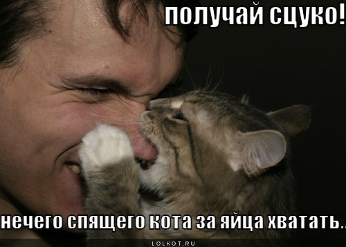 получай