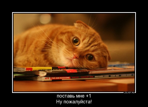 поставь мне  1
