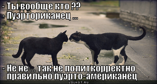 пуэрториканец