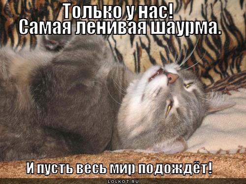 пусть весь мир подождёт!
