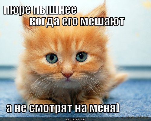 пюре пышнее когда его мешают а не смотрят на меня)