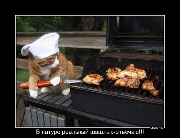 реальный шашлык