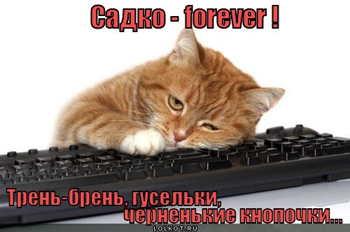 садко - forever ! 