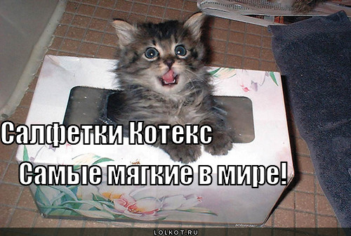салфетки котекс