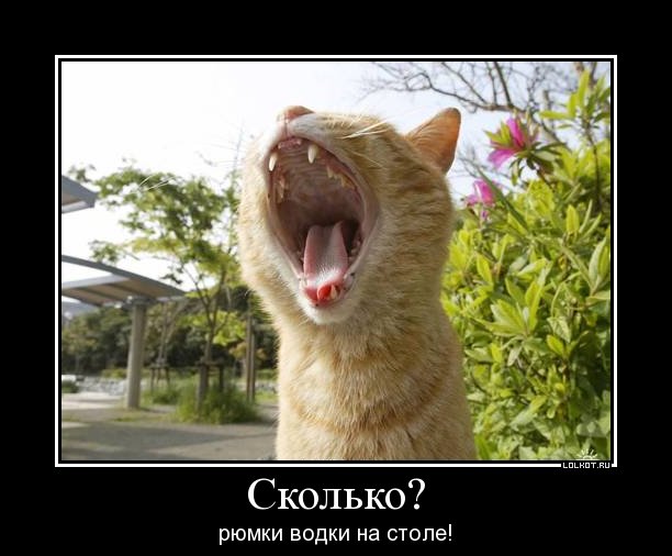сколько?