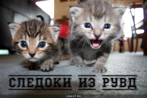 следоки из рувд