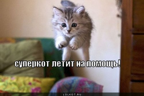 суперкот 