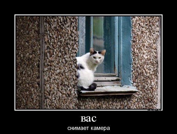 вас снимает камера