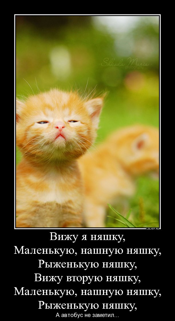 вижу я няшку