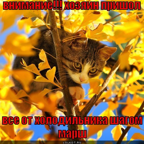 внимание