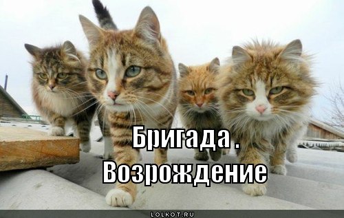 возрождение