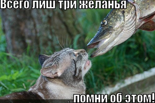 всего лиш