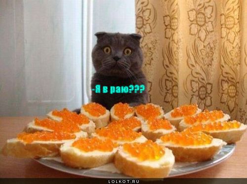 -я в раю???