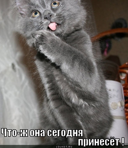 ждёмс